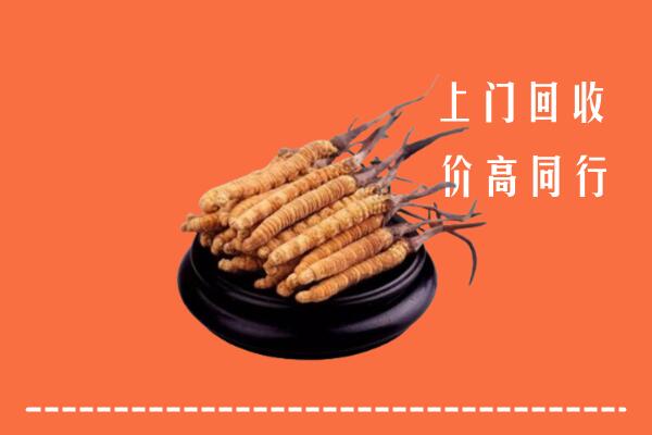 永州回收散虫草