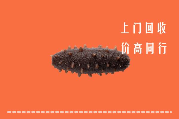 永州回收海参