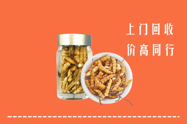 永州回收冬虫夏草